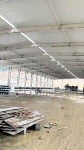 Detalle de las correas de pared galvanizadas (wall girts) instaladas en las columnas de un galpón metálico industrial.