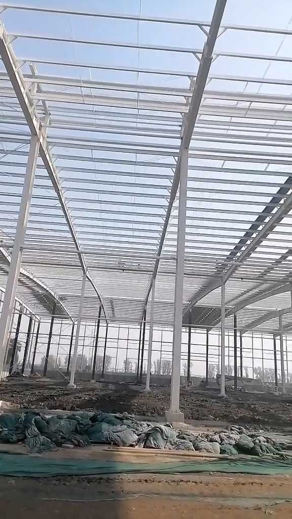 Vertical Q355 steel columns and roof purlins installed on site, showcasing the standardized framing systems available from a bulk steel building supplier.