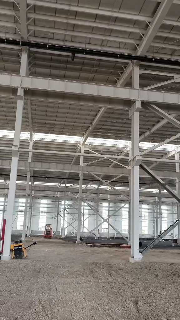 Looking up at the white-painted heavy columns and roof purlins inside an industrial steel building, showcasing the multi-span portal frame design.